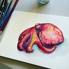 Octopus. Watercolor Painting project by Monica Graham - 03.03.2021