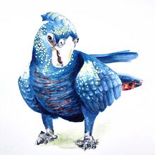 My project in Naturalist Bird Illustration with Watercolors course Ein Projekt aus dem Bereich Aquarellmalerei von Tina Ritter - 03.03.2021
