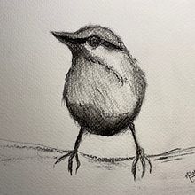 Artistic Watercolor Techniques for Illustrating Birds course: Projects. Watercolor Painting project by Niketa Mukherjee - 03.03.2021