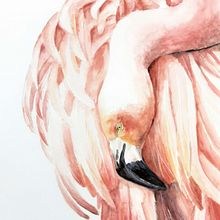 Flamingo Ein Projekt aus dem Bereich Aquarellmalerei von Tina Ritter - 03.03.2021