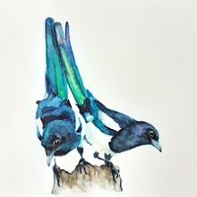 Elstern Ein Projekt aus dem Bereich Aquarellmalerei von Tina Ritter - 03.03.2021