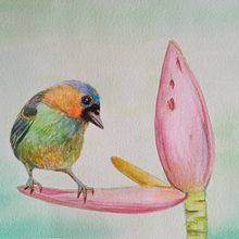 Meu projeto do curso: Técnicas expressivas de aquarela para ilustração de pássaros. Watercolor Painting project by Eliane Guimarães do Carmo - 03.04.2021