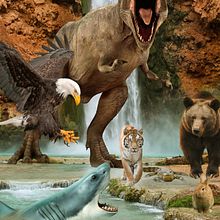 Mi Proyecto del curso: Secretos del fotomontaje y el retoque creativo . Retouching Foto proyek oleh Marlon Mondoy - 03.04.2021