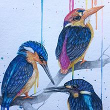COLORFUL RAIN: Acuarela artística para ilustración de aves. Traditional illustration, Naturalistic Illustration, Watercolor Painting, and Realistic Drawing project by Alex Vigo - 03.03.2021