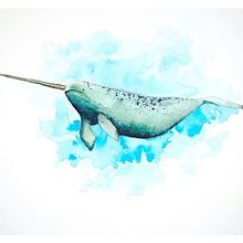 Narwhal. Projekt z dziedziny Malowanie akwarelą użytkownika Eileen Bedore Doll - 05.03.2021