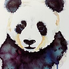 Panda. Projekt z dziedziny Malowanie akwarelą użytkownika Eileen Bedore Doll - 05.07.2021