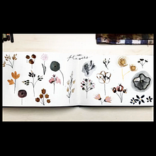 My project in Illustration Techniques to Unlock your Creativity course. Projekt z dziedziny R, sunek botaniczn, Ilustracje dla dzieci, Trad, c, jna ilustracja, Sketching i Malowanie akwarelą użytkownika Leona - 05.03.2021