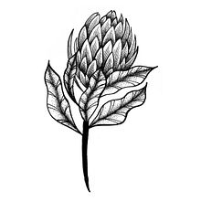 Meu projeto do curso: Desenho de tatuagem blackwork . Ilustrație botanică de Carol Schumann - 03.05.2021