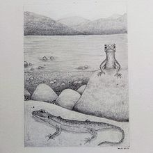 Lagartijas del Lago Villarrica. Un proyecto de Dibujo a lápiz e Ilustración tradicional de Lea Rodríguez - 05.03.2021