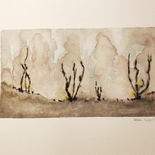 Paisajes . Un projet de Pa, sagisme , et Aquarelle de Silvia Palao - 12.10.2020
