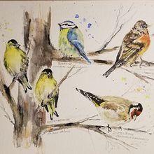 Mein Kursprojekt: Illustriere Vögel mit expressiven Aquarelltechniken. Un projet de Aquarelle de Chri Ste - 08.03.2021