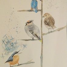 Nuthatch with something to say. Un progetto di Pittura ad acquerello di Tuula Jane - 06.03.2021