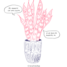 Shady Plantas. Comunicação, Criatividade, Desenho digital, Design gráfico, Ilustração tradicional e Ilustração botânica projeto de Felipe Gacitúa Rubio - 06.03.2021