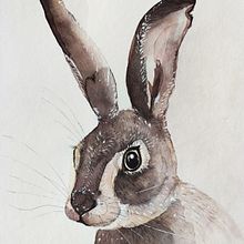 Rabbit. Un proyecto de Pintura a la acuarela de aleksandra_mz - 06.03.2021