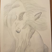 Freedom. Un progetto di Illustrazione naturalistica, Pittura e Pittura ad acquerello di Vanessa Kalil Cabello Ferraz Araujo - 14.04.2021