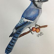 Mi Proyecto del curso: Ilustración naturalista de aves con acuarela. Traditional illustration, Watercolor Painting, Realistic Drawing, and Naturalistic Illustration project by Estrella Rubilar - 03.07.2021