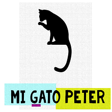 Mi gato Peter. Writing project by Walter Campos M - 03.07.2021