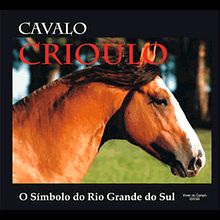 Livro Cavalo Crioulo - O Simbolo do Rio Grande do Sul. Un progetto di Arte concettuale e Fotografia documentaria di Ana Lúcia Teixeira - 07.03.2021