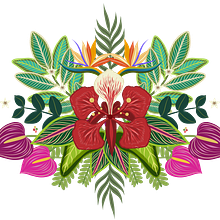 Flor de Flamboyán - Ilustración para patrones . Digital Illustration project by Shantall Alam - 11.07.2020