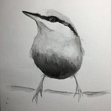 My project No. 2 Artistic Watercolour Techniques Illustrating Birds. Watercolor Painting project by lkhamilton4 - 03.08.2021