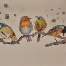 My project in Artistic Watercolor Techniques for Illustrating Birds course. Projekt z dziedziny Malowanie akwarelą użytkownika Ivany Argueta - 07.03.2021