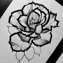 CalligraphyRose. Botanical Illustration, Design, Digital Design, Drawing, Instagram, and Lettering project by Alex Graf - 03.08.2021