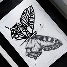 CalligraphyButterfly. Calligraph, Creativit, Digital Design, Digital Drawing, Digital Illustration, Digital Lettering, Sketchbook, Sketching, and Tattoo Design project by Alex Graf - 03.08.2021