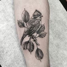Tatuajes de aves. Tattoo Design project by Mazvtier - 03.08.2021