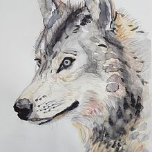 Mein Kursprojekt: Experimentelle Aquarelltechniken für Anfänger. Watercolor Painting project by Sylvia Wols - 03.08.2021