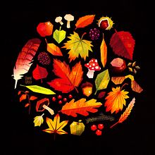 Autumn Colours. Children's Illustration, Digital Illustration, Editorial Illustration, and Traditional illustration project by Gemma Gould - 03.09.2021