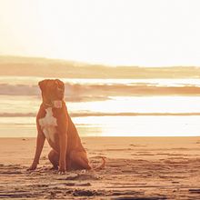 Mi Proyecto del curso: Creación y edición de contenido para Instagram Stories. Un progetto di Social media di Araceli Carranza Ruiz - 10.03.2021
