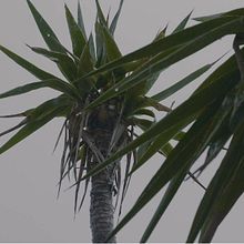 A rainy day (Realizador). Film, Video, TV, Photograph, and Filmmaking project by Gonzalo MC - 03.10.2021