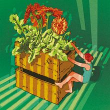 Gerbera.. Un proyecto de Ilustración tradicional, Ilustración con tinta, Ilustración digital e Ilustración naturalista				 de María José Andúgar - 10.03.2021