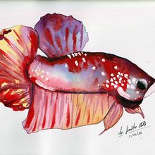 Pez en acuarela y gouache . Artistic Drawing, and Traditional illustration project by Sandra Ruiz Esteban - 03.10.2021