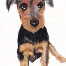 Dibujo con lápices de colores. Otro perrete. Drawing, Realistic Drawing, and Traditional illustration project by Sandra Ruiz Esteban - 03.10.2021