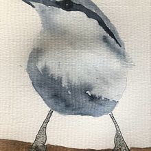 My project in Artistic Watercolor Techniques for Illustrating Birds course. Watercolor Painting project by dham5150 - 03.12.2021