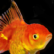 Y mi pez puede flotar en el espacio. Digital Drawing, Digital Illustration, and Digital Painting project by Miguel A. Guzmán - 04.29.2020