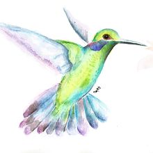 Colibrí en acuarela. Un progetto di Pittura ad acquerello di Diego Armando Martínez Osorio - 12.03.2021