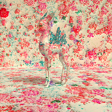 Get off your high horse. 3D project by Sonali Mukherjee - 02.20.2021