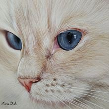 Lily . Seni Rupa proyek oleh María Otal Palacin - 03.12.2021