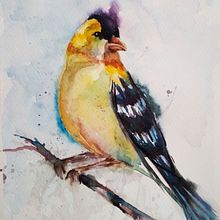 Ave amarilla Ein Projekt aus dem Bereich Aquarellmalerei von susana guarnes - 12.03.2021