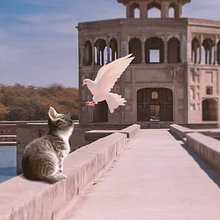Meu projeto do curso: Segredos da fotomontagem e do retoque criativo. Photomontage project by Jadson Consolini - 03.29.2021