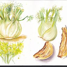 Fennel study Ein Projekt aus dem Bereich Naturalistische Illustration, Skizzenentwurf und Aquarellmalerei von Clin Doeil Scrap - 13.03.2021