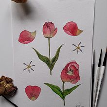 My project in Botanical Watercolor Sketchbook course. Un proyecto de Ilustración tradicional de Teresa Figueiredo - 24.02.2021