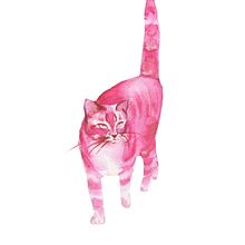 Ilustraciones de animales acuarela. Watercolor Painting, and Photo Retouching project by Nyajo Gil - 03.14.2021