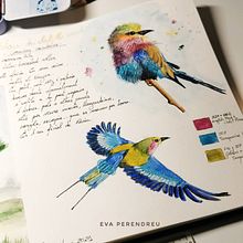 Cuaderno de viaje en acuarela: Sudáfrica. Projekt z dziedziny Trad, c i jna ilustracja użytkownika Eva Perendreu - 14.03.2021