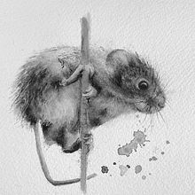 Watercolour mouse ... tonal exercise . Projekt z dziedziny Malowanie akwarelą użytkownika Sarah Stokes - 14.03.2021