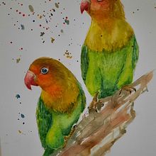 Mi Proyecto del curso: Acuarela artística para ilustración de aves. Projekt z dziedziny R, sunek ołówkiem, R, sunek anatomiczn, Portret, Fotografowanie smartfonem, Fotografia portretowa, Malowanie akwarelą, Malarstwo olejowe i Malowanie gwaszami użytkownika Pamela Marambio - 18.03.2021