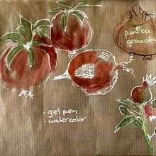 Pomegranates - My project in Illustrating Nature: A Creative Exploration course. Watercolor Painting project by wboot - 04.08.2021