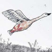 Patito feo. Editorial Illustration project by Lila Aquilicun - 06.16.2020